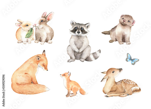 Canvas Print Watercolor wild animals illustrations set