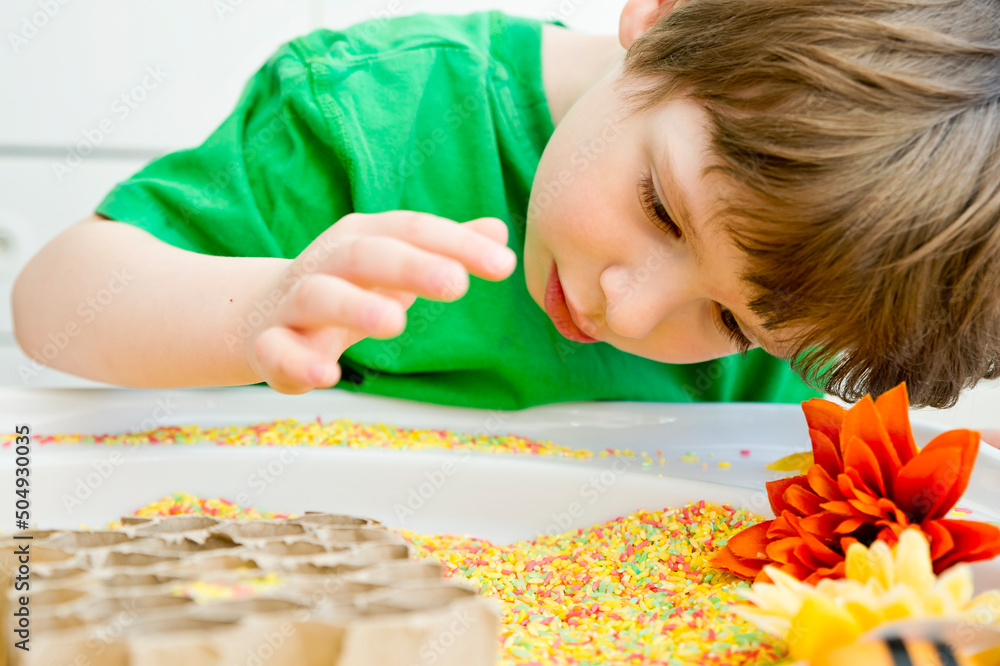 Boy Is Playing With Artificial Flowers Bees And A Paper Honeycomb boy-is-playing-with-artificial-flowers-bees-and-a-paper-honeycomb