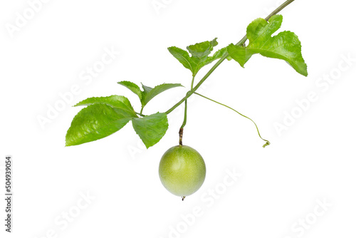 Wallpaper Mural Passion fruit (Maracuya Passiflora) with leaves isolated on white background.   Torontodigital.ca