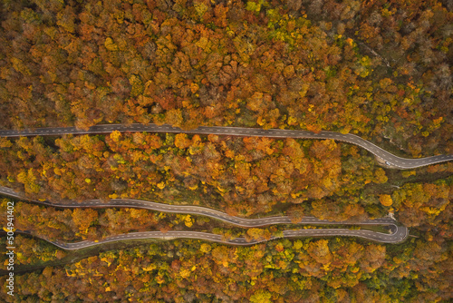 road through the natural park of urbasa photo