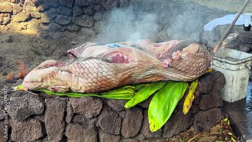 A Kalua pig full of hot stones ready for placement in the imu for smoking at a traditional Hawaiian luau photo