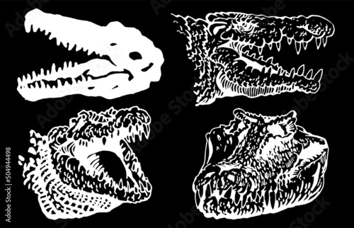 Graphical  set of crocodile skulls isolated on black background, vector illustration