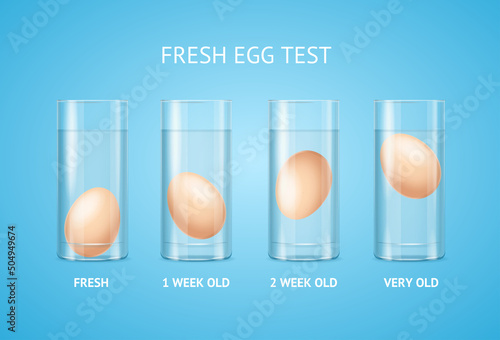 Realistic Detailed 3d Fresh Egg Test Concept. Vector