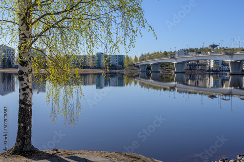 Spring and the first leaves of birch on Lutakko, Jyvaskyla City, Finland. Kuokkala bridge as seen in the background.