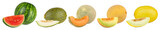 Set collection row of various kind of fruit melons like watermelon cantaloupe gaya charente and galia with melon slice isolated white background. healthy nutrition eating concept
