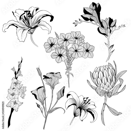 big set of flowers sketches. Hand-drawn. design greeting card and invitation ...