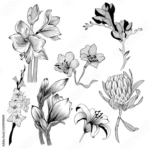 big set of flowers sketches. Hand-drawn. design greeting card and invitation ...