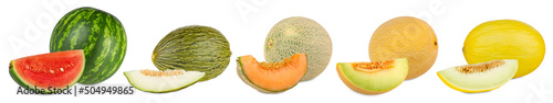 Set collection row of various kind of fruit melons like watermelon cantaloupe gaya charente and galia with melon slice isolated white background. healthy nutrition eating concept