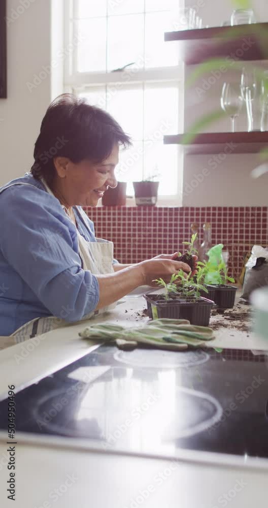 Vertical video of smiling senior biracial woman wearing apron and gardening in kitchen Vertical video of smiling senior biracial woman wearing apron and gardening in kitchen
