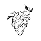 Anatomical wooden heart illustration. Abstract romantic sign, nature love concept. Line art, print, tattoo sketch.