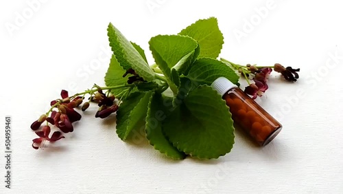 Homeopathy and naturopathy traditional healthcare medical treatment concept. Homeopathic and naturopathic medicine drug pills glass bottle falling on green ajwain mint leaves and red bilimbi flowers. photo