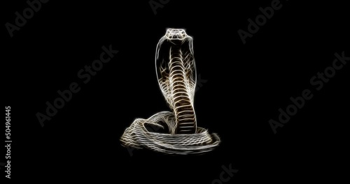 FRACTAL COBRA ATTACK