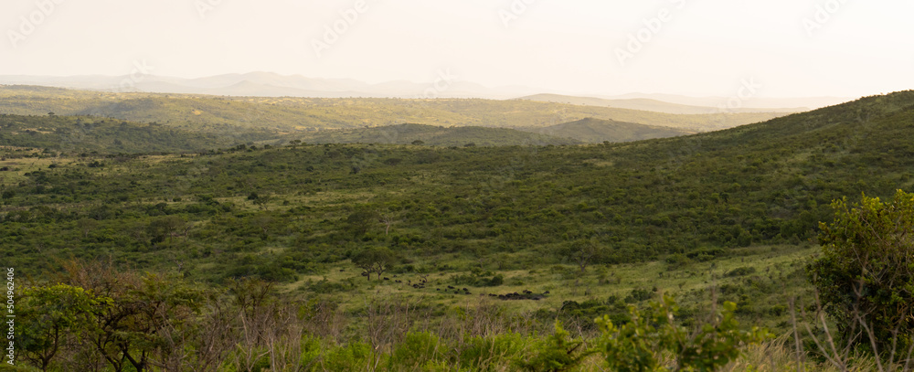 Naturreservat Hluhluwe Imfolozi Park Südafrika