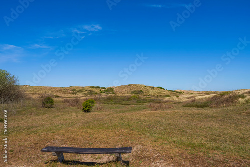 View of the dune landscape near Egmond aan Zee/Netherlands on the North Sea on a sunny day