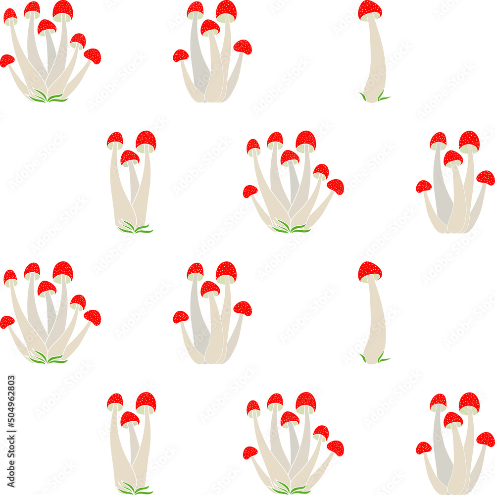Pattern of poisonous mushrooms vector simple background isolated on white background. Coloured hand drawn version. Vector mycology. Natural healthy fungus, autumn design. Pattern of poisonous mushrooms vector simple background isolated on white background. Coloured hand drawn version. Vector mycology. Natural healthy fungus, autumn design.
