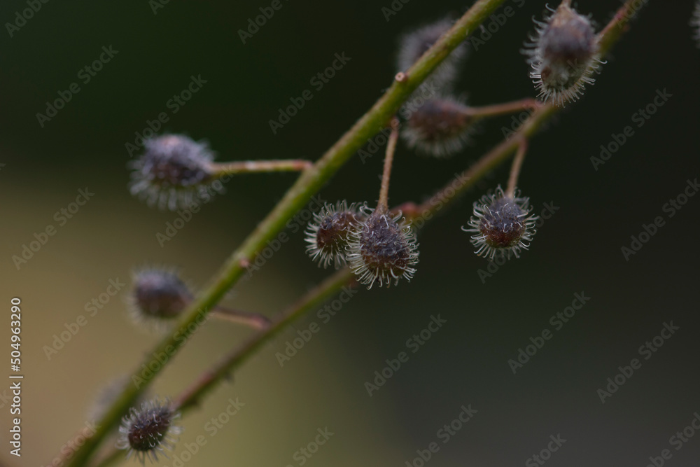 Obraz premium Don't touch them