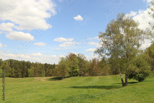 landscape with blue sky and white clouds, meadow, forest and tree in the foreground, romantic landscape