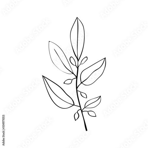 Forest herbs, leaves and twigs of plants. Botanical collection of herbal patterns and leaves