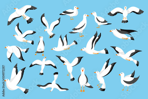Sea bird gull. Beach seabird in port sky flying and standing, nautical animal background on marine pier. Seabird in different poses. Freedom symbol. Isolated vector cartoon flat set