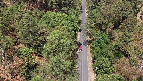 CARRETERA EN MEDIO DEL BOSQUE