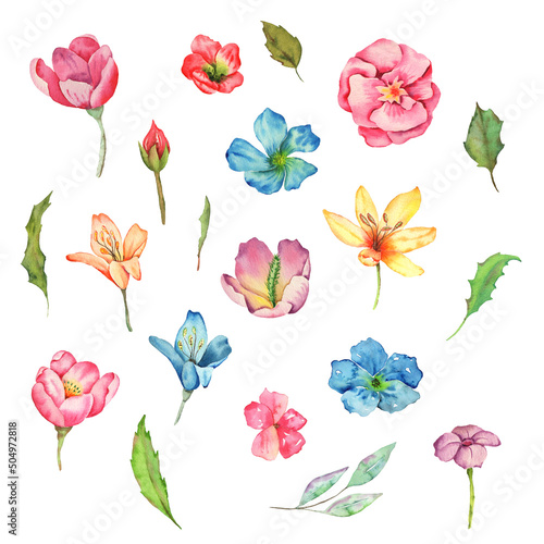 Watercolor Summer Floral Digital art Logo Card Wedding Invitations