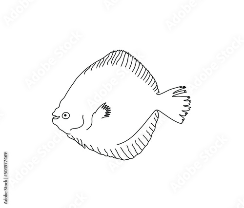 Vector isolated cute cartoon funny flounder fish side view colorless black and white contour line doodle drawing