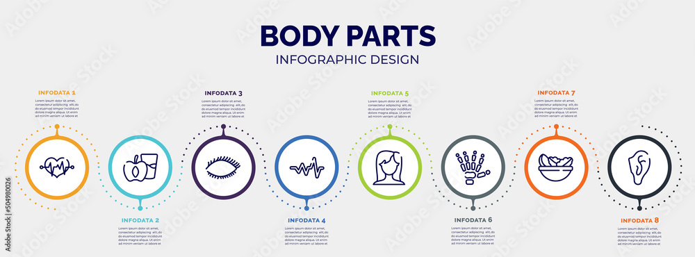 infographic for body parts concept. vector infographic template with icons and 8 option or steps. included lifeline in a heart, diet for health, eye with lashes, cardiac graphic, brunette female infographic for body parts concept. vector infographic template with icons and 8 option or steps. included lifeline in a heart, diet for health, eye with lashes, cardiac graphic, brunette female