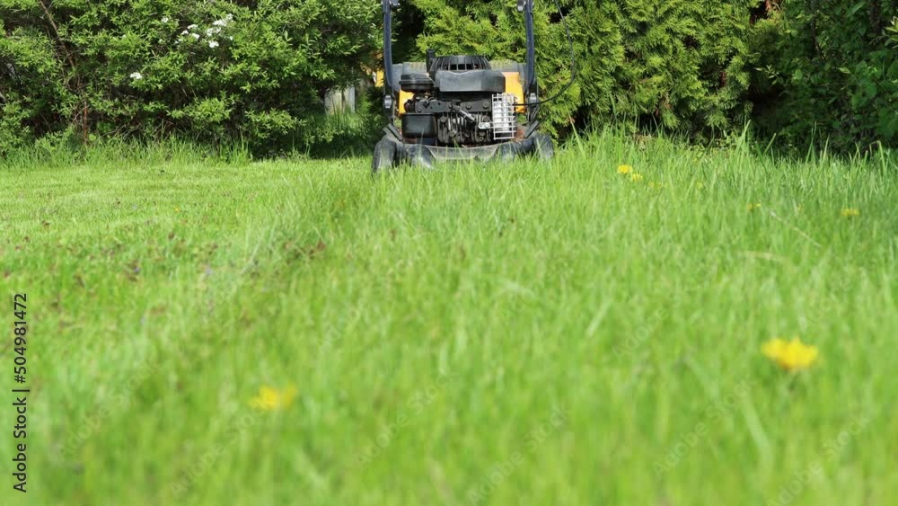 Mowing grass in the garden with a petrol lawn mower