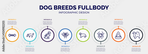 Valokuva infographic for dog breeds fullbody concept