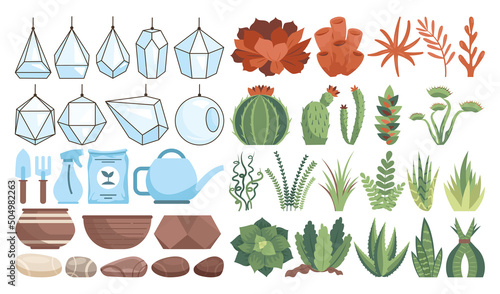 Set of trendy glass florarium, vase for home decoration. Cute geometric