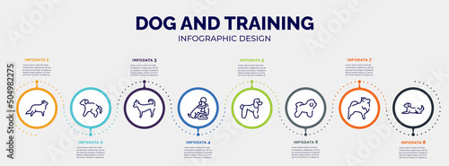 Fotografiet infographic for dog and training concept