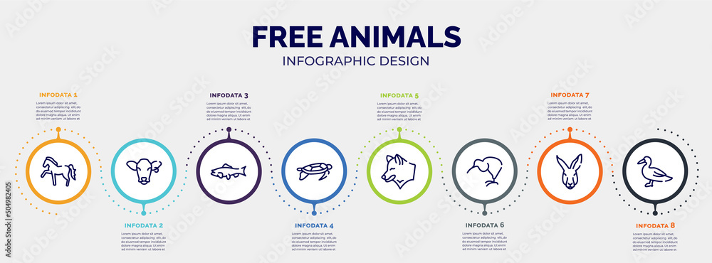 infographic for free animals concept. vector infographic template with icons and 8 option or steps. included horse with leg up, cow head, big salmon, swimming turtle, wolf head, kiwi eating, infographic for free animals concept. vector infographic template with icons and 8 option or steps. included horse with leg up, cow head, big salmon, swimming turtle, wolf head, kiwi eating,