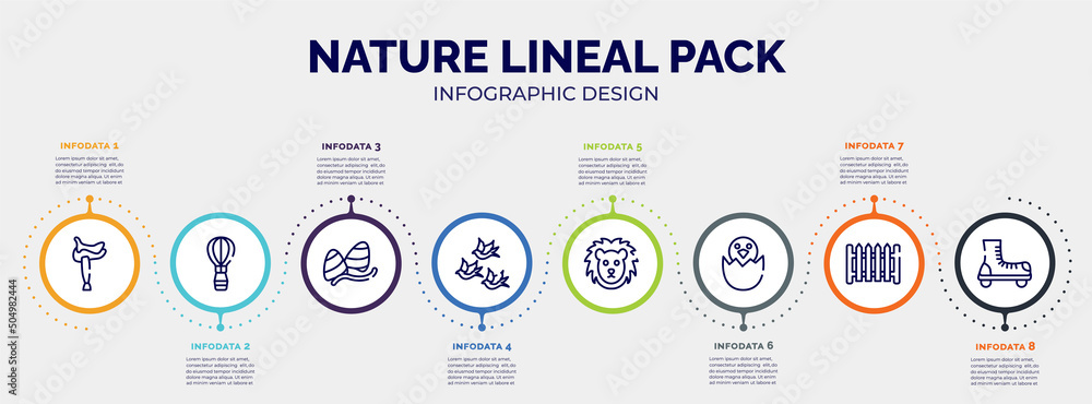 infographic for nature lineal pack concept. vector infographic template ...