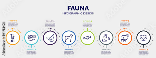 infographic for fauna concept. vector infographic template with icons and 8 option or steps. included sitting penguin, belt and buckle, flying dove, big dog, whale swimming, lama head, sheep with