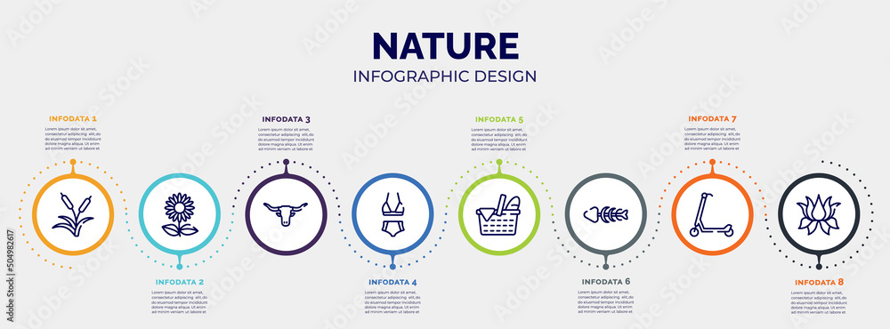 infographic for nature concept. vector infographic template with icons and 8 option or steps. included reeds, sunflowers, bull, bikini, picnic, fishbone, scooter, lotus flower editable vector. infographic for nature concept. vector infographic template with icons and 8 option or steps. included reeds, sunflowers, bull, bikini, picnic, fishbone, scooter, lotus flower editable vector.