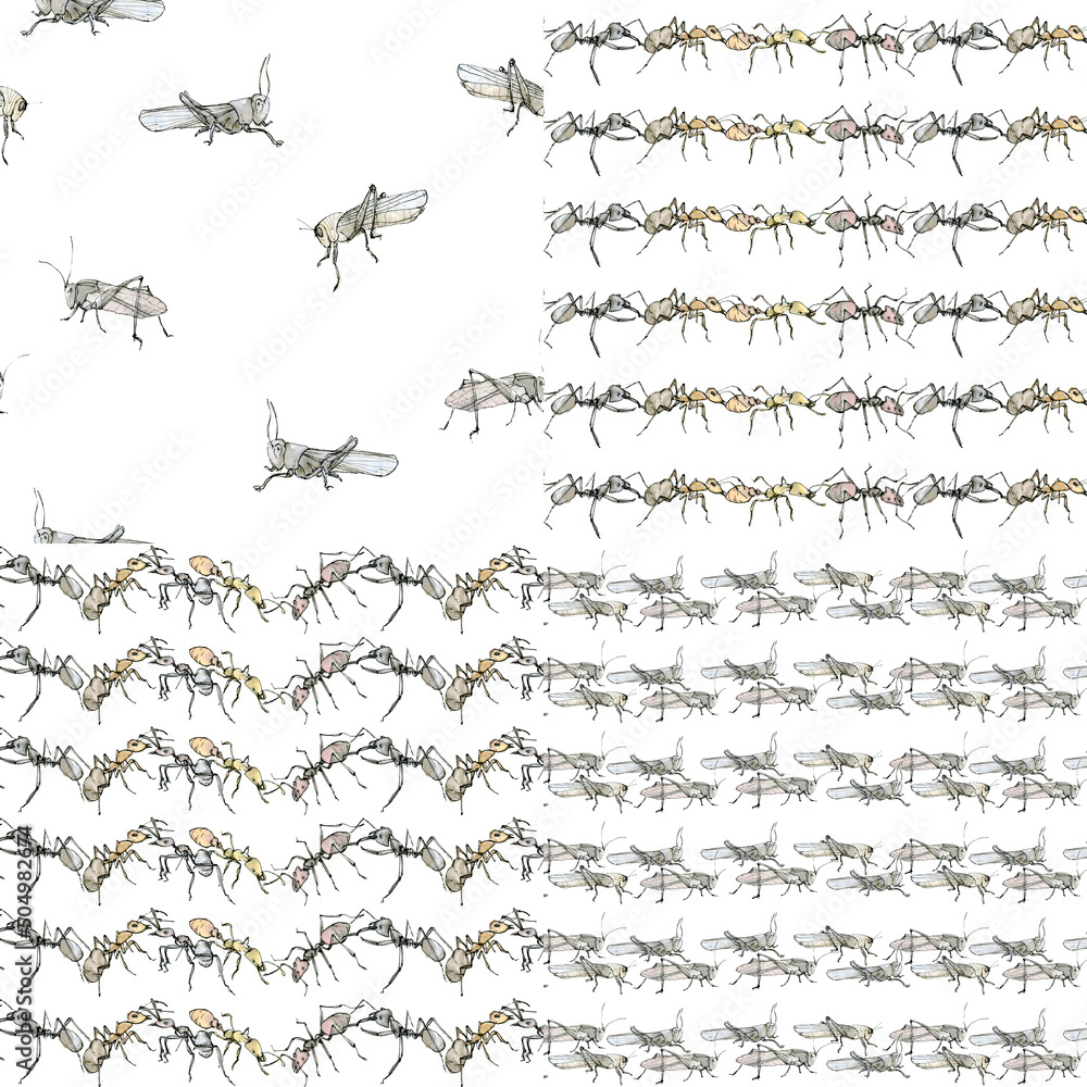 Watercolor illustration seamless pattern set of grasshoppers stripe, a muted color sketch. Elegant insects drawn by hand with ink on white, blue, green.