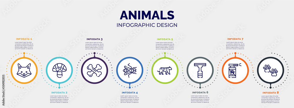 Fototapeta premium infographic for animals concept. vector infographic template with icons and 8 option or steps. included fox, mushroom, bones, gadfly, tiger, null, anti flea, pawprint editable vector.