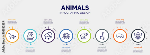 infographic for animals concept. vector infographic template with icons and 8 option or steps. included wolf, cobra, snowy, water lily, safari, shovel, hippo, monkey editable vector.