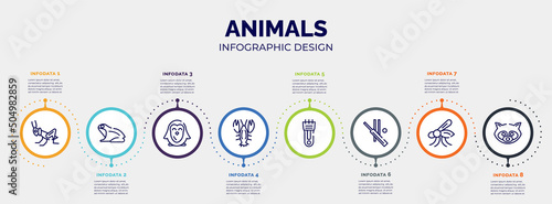 infographic for animals concept. vector infographic template with icons and 8 option or steps. included grasshopper, frog, penguin, lobster, hair clipper, cricket, mosquito, raccoon editable vector.