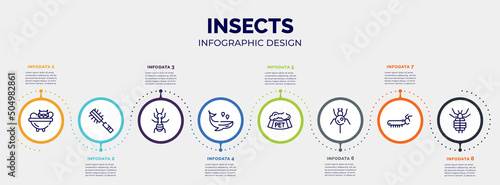 infographic for insects concept. vector infographic template with icons and 8 option or steps. included cat bath, pet brush, ant, whale, pet bowl, spider, caterpillar, louse editable vector.