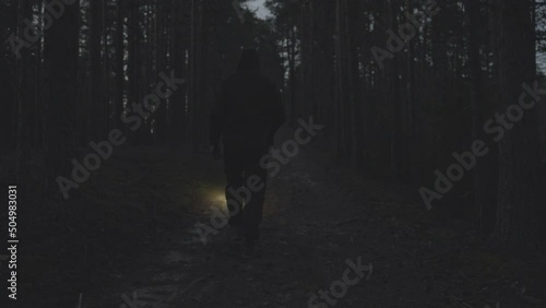 a man with a lantern walks along a path in a dark forest