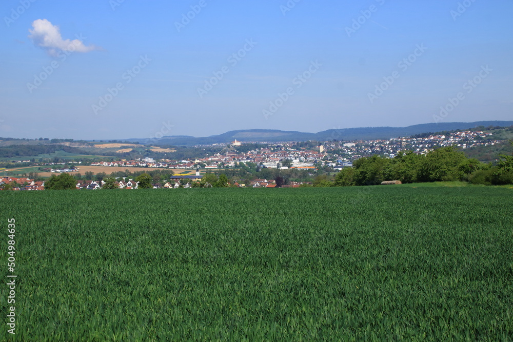 Blick über Wiesen und Felder auf die Stadt Vaihingen Enz