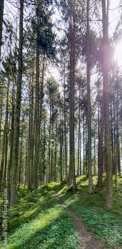 Naklejka premium Wandern im Donaubergland