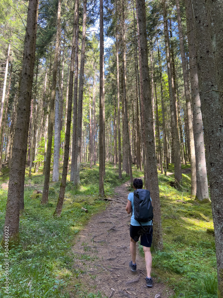 Obraz premium Wandern im Donaubergland