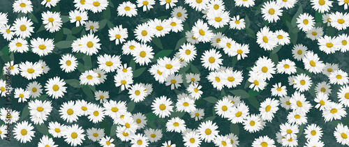 Floral abstract background with a pattern of daisies. Botanical art banner with white flowers for textile design, print, wallpaper, wall
