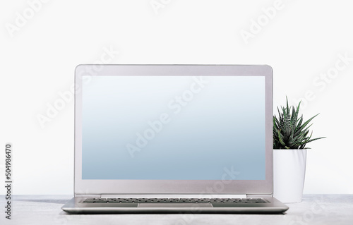 Front view of the laptop with mockup gradient screen on the desk. Copy space. Minimal monochrome. Small plant in a pot