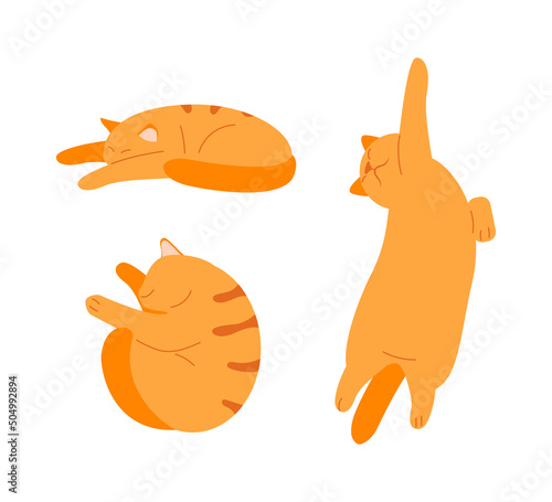 Sleeping lazy relaxed ginger cat vector illustration