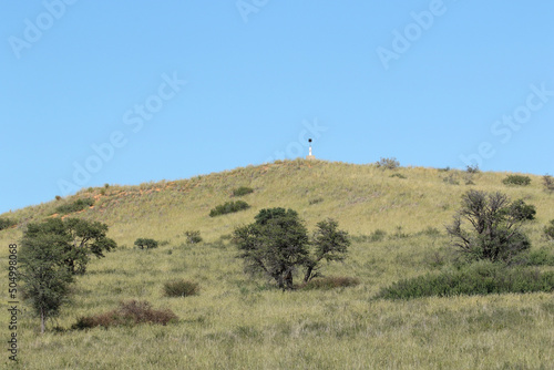 Fotografi Triangulation Station or Trig beacon in the Kgalagadi, South Africa