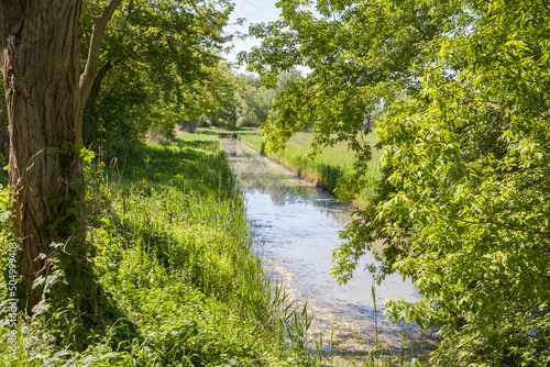 Entwässerungsgraben in einer Flussaue