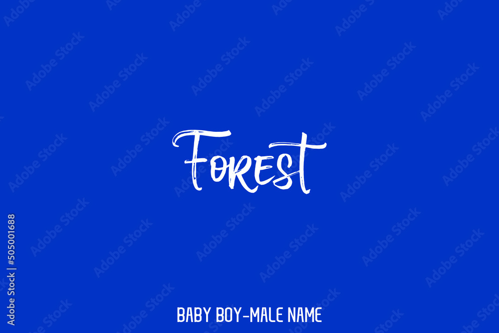 Brush Calligraphy Text Design of Male Name Brush Calligraphy Text Design of Male Name